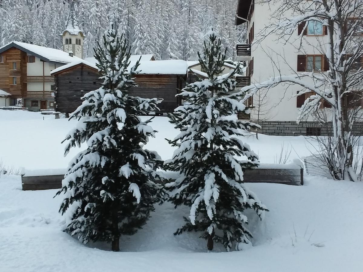 Anis Lägenhet Saas-Almagell Exteriör bild