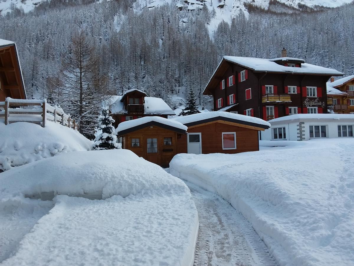 Anis Lägenhet Saas-Almagell Exteriör bild